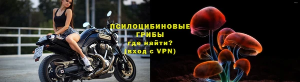 дурь Алексеевка