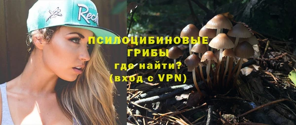кокс Алзамай