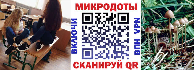 Галлюциногенные грибы GOLDEN TEACHER  Усть-Лабинск 